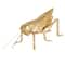 Hello Honey® 5.5" Gold Gilded Garden Grasshopper Décor